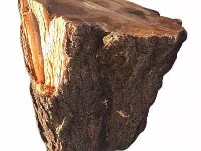 trunk 101 3D model
