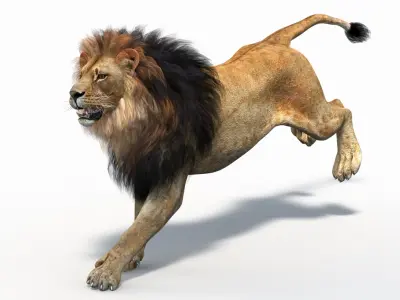  Lion 2 Animated Polygonal Mane 