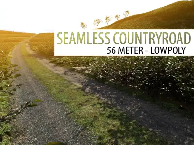 seamless countryroad - 56meter and lowpoly Low-poly 3D model