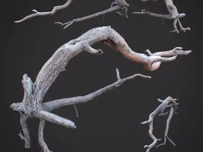 Dead tree 3d scan - SNA0003 3D model