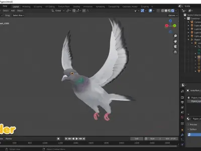  Realistic Animated Rock Pigeon Low-poly 