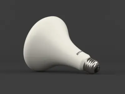 LED light bulbs 3D model