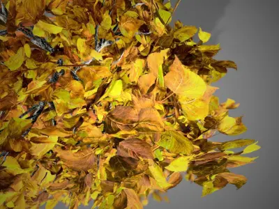 Lombardy Poplar Fall Tree Low-poly 3D model