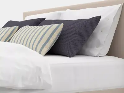 Basis 25  Change 3D model