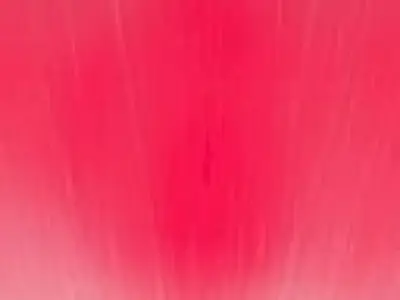 Tent 7000 Pax 3D model