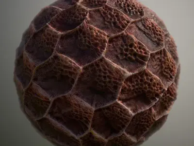 Material Skin Alien 29 Seamless PBR Texture Texture