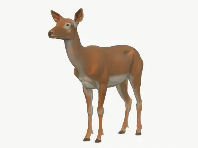  Realistic 3D Deer Model Low Poly PBR 