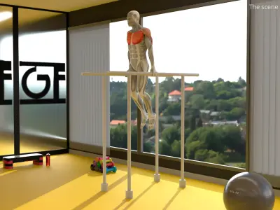  Male Muscular System Chest Dip Animated Rigged 