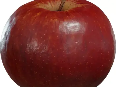 Photorealistic Red Apple  Low-poly 3D model