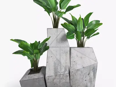 Concrete Plant Banana Palm 3D model