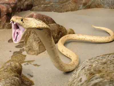  Light Skin Cobra Attack Animated Rigged 