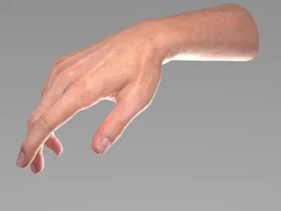  Realistic Male Hand Rigged 