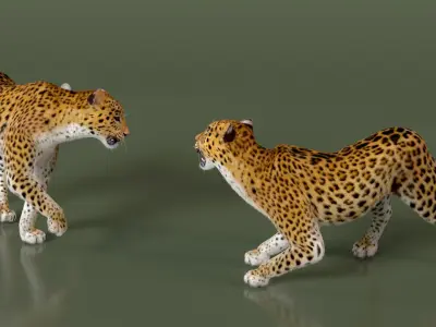  Leopard with Fur Rigged 