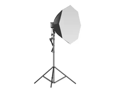 Softbox Raya Octa Fluorescent 3D model