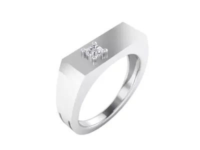 Mens Ring Render 3dm STL MTL SLC JCD OBJ FBX Details 3D print model
