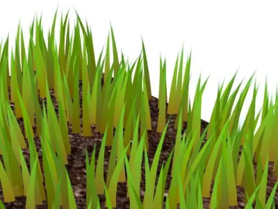 Grasses 3D model