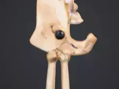 Elemental Fantasy Weapons Collection 3D Model Pack