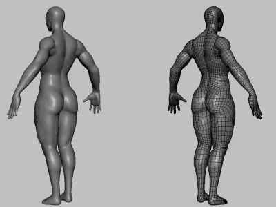 Blender - Muscular Male & Female Anatomy - Topology + UV