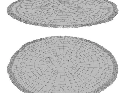 Round Carpet MIA-89T 3D model