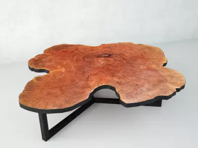 Lychee Stump Table 3D model