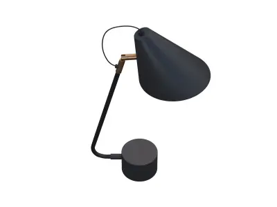 Light 3D model shop