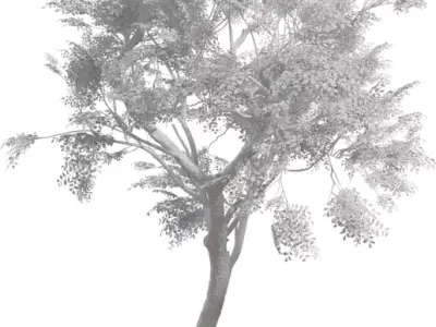 Realistic High-Poly Tree Model Low-poly 3D model