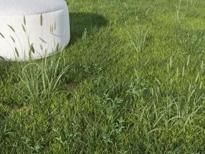  Lawn + Grasses Pack (+GrowFX) 