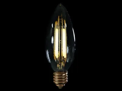 Light bulb vintage 3 3D model