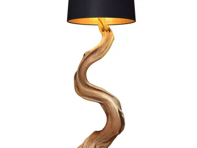 Rustic Eco Floor lamp made natural driftwood branches Loft style 3D model