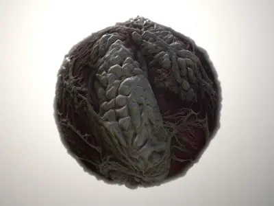 Material Skin Monster 21 Seamless PBR Texture Texture