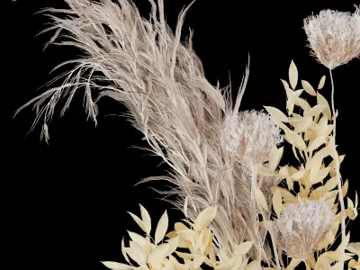 Collection plant vol 75