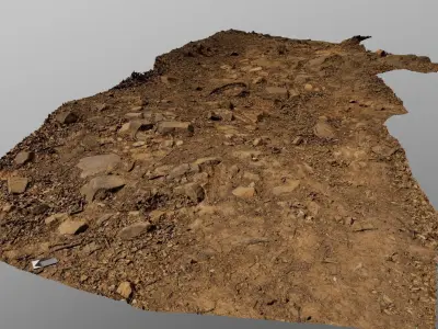 Forest Path 3D model