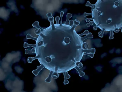 Covid19 CoronaVirus 3D model