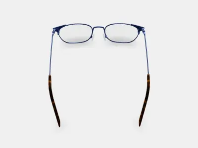 Heyward Eyeglasses in Brushed Navy 3D model