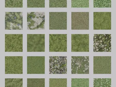 Grass and Moss Textures Texture