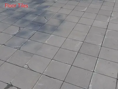 Floor Tiles 3D model