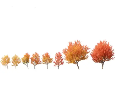 Autumn Colors Collection Pack 06 3D model