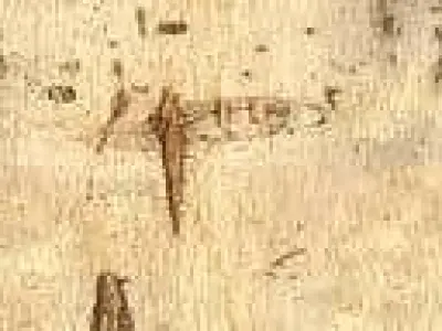 Modular Kiosk design in Minimalist style 6 feet by 6 feet  3D model