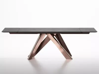 Big Dining Tables Extended 3D model