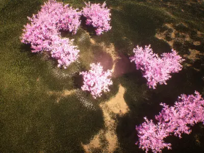 Blossom trees with rolling hill 3d scene Low-poly 3D model