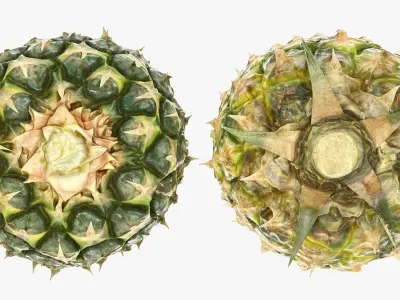  Ultra Detailed Pineapple 