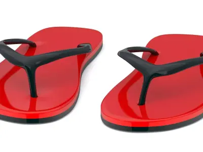 Red Flip Flop 3D model