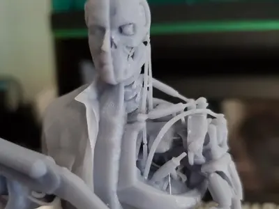 Terminator Arnold Schwarzenegger T800 Half Human Half Cyborg 3D  3D print model