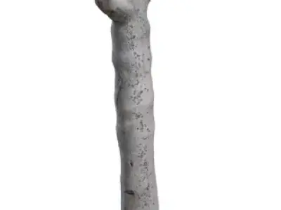 Realistic Desert Aloe Tree  Low-poly 3D model