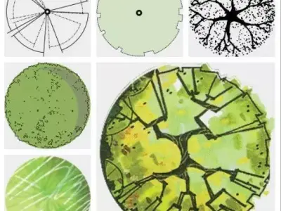 2D Tree plan - PNG Hand Painted Furniture 3D model