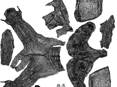 Basics0682 - A set containing 5 models of male and female 3D model