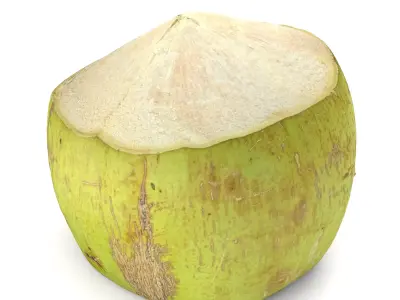 Green Coconut - Photorealistic  Scan Low-poly 3D model