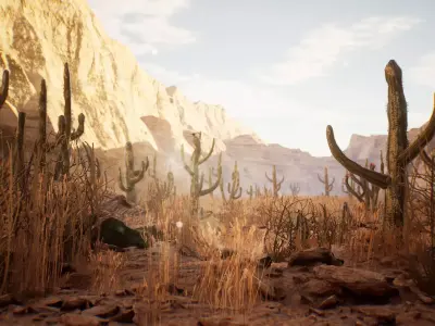 Cactus Package 16 Assets Low-poly 3D model