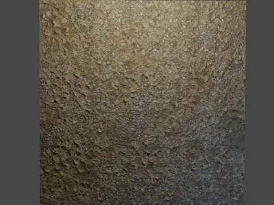 Forest Floor 4K Texture