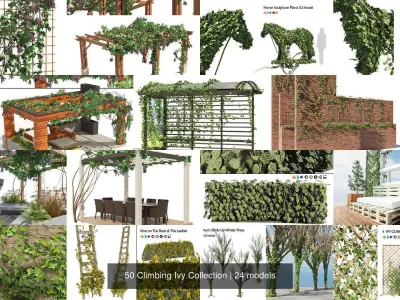 50 Climbing Ivy Collection 3D Model Pack
